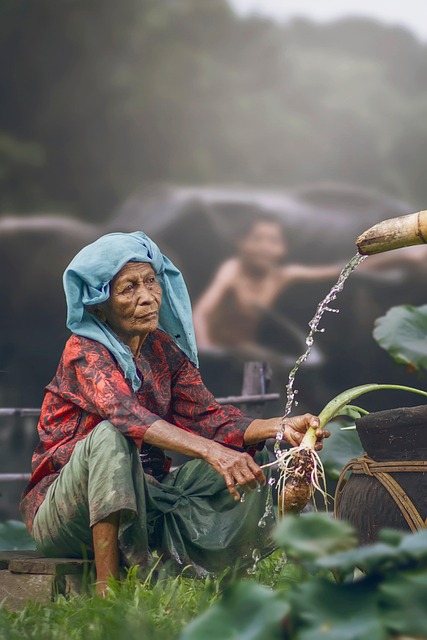 elderly-person-640x480-36953643.jpeg