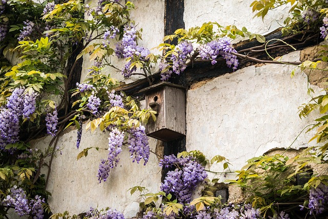 house-640x480-89653792.jpeg