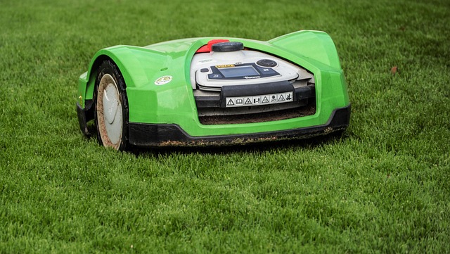 Lawn Care