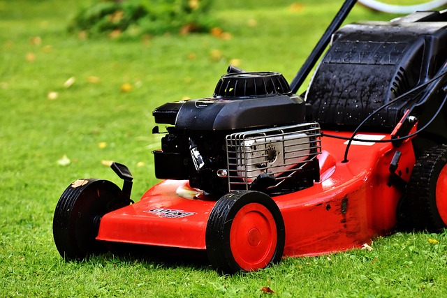 lawn-care-640x480-36484139.jpeg