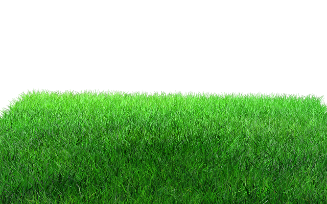 lawn-care-640x480-38845625.png