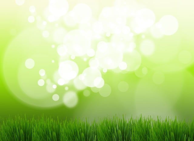 lawn-care-640x480-77225125.jpeg