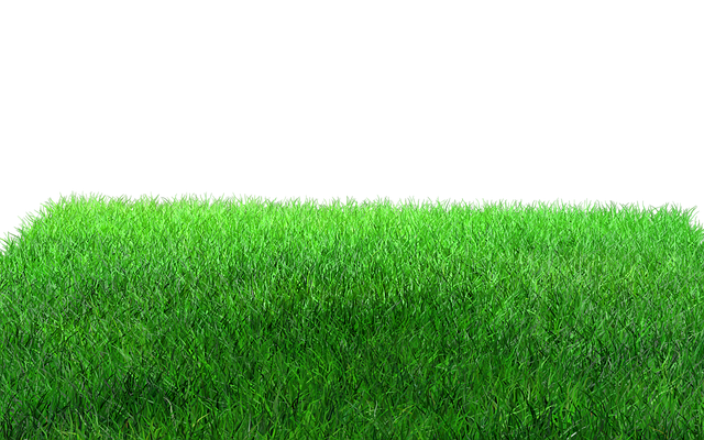 lawn-care-640x480-93868408.png