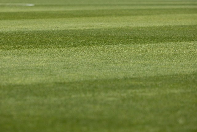 Lawn Care