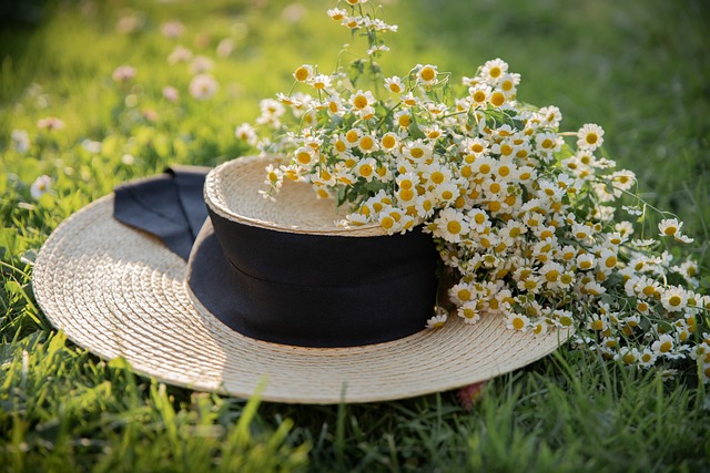 lawn-care-640x480-49704565.jpeg