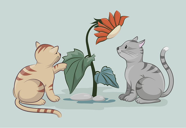 pet-sitting-640x480-36895590.png