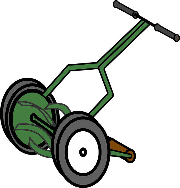 lawn-care-640x480-48997327.png