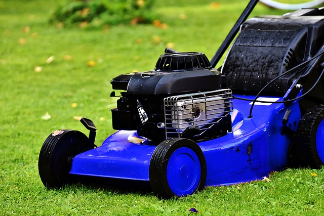 Lawn Care