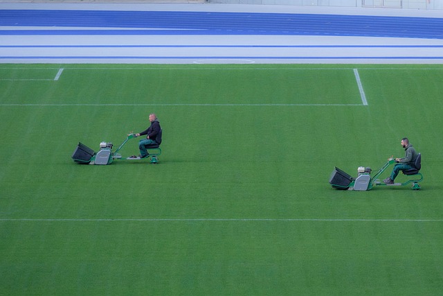 Lawn Care