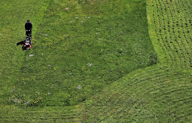 lawn-care-640x480-59569633.jpeg