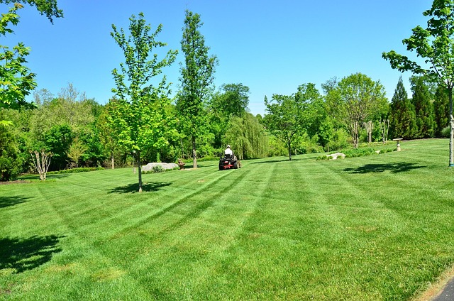 lawn-care-640x480-62268748.jpeg