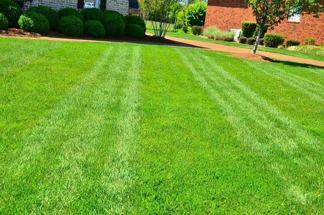lawn-care-640x480-64718568.jpeg