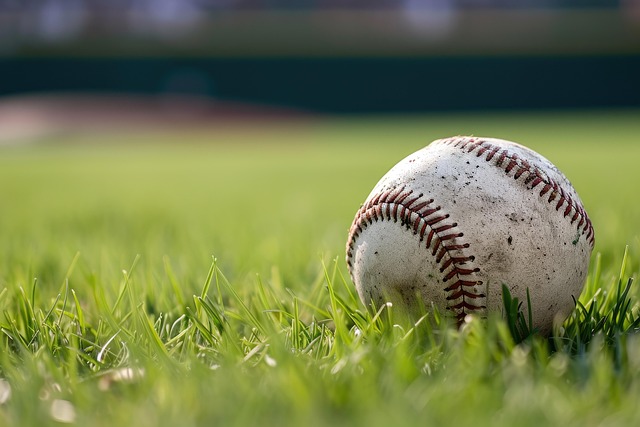 lawn-care-640x480-79687020.jpeg