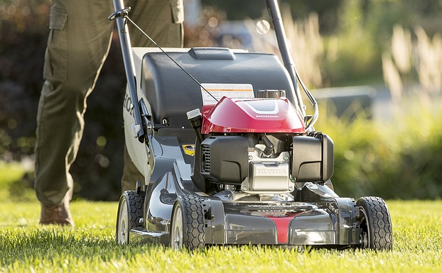 lawn-care-640x480-85025366.jpeg