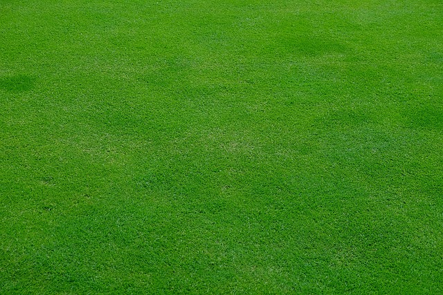 Lawn Care