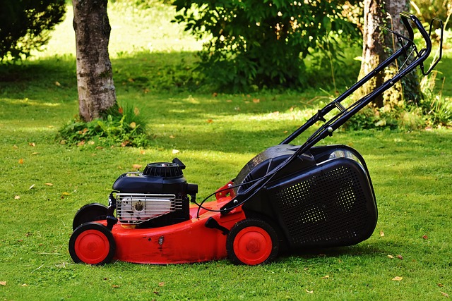 lawn-care-640x480-13782008.jpeg