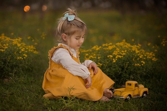 lawn-care-640x480-16209669.jpeg