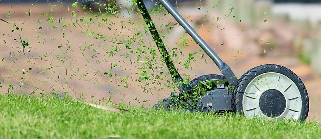 Lawn Care