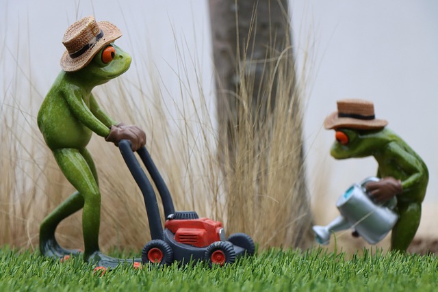 lawn-care-640x480-18309940.jpeg