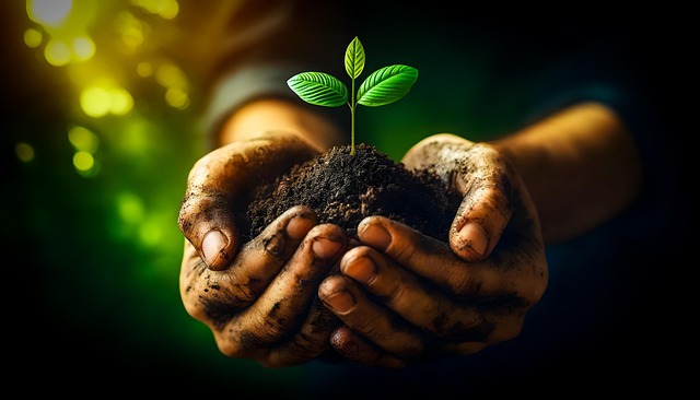 Optimizing Lawn Care and Landscaping: Fertilization &amp; Weed Control