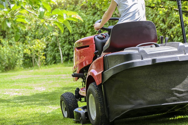 lawn-care-640x480-28070564.jpeg