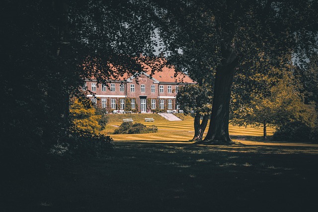 Lawn Care