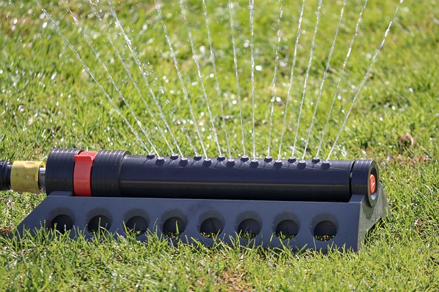 lawn-care-640x480-45373696.jpeg