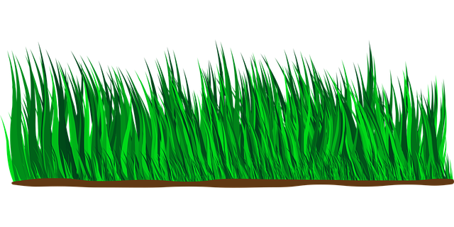 lawn-care-640x480-54712440.png