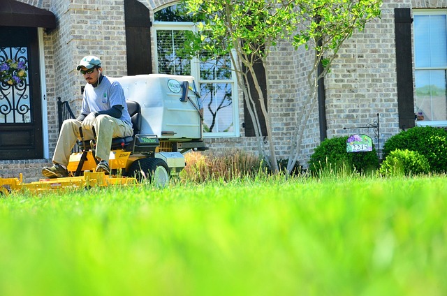 lawn-care-640x480-59422417.jpeg