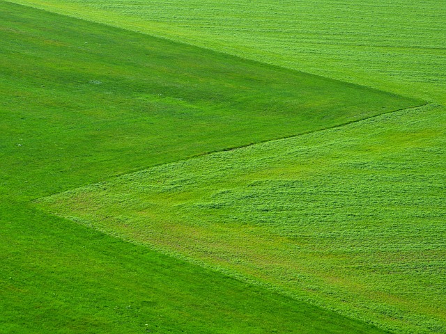 lawn-care-640x480-60847594.jpeg