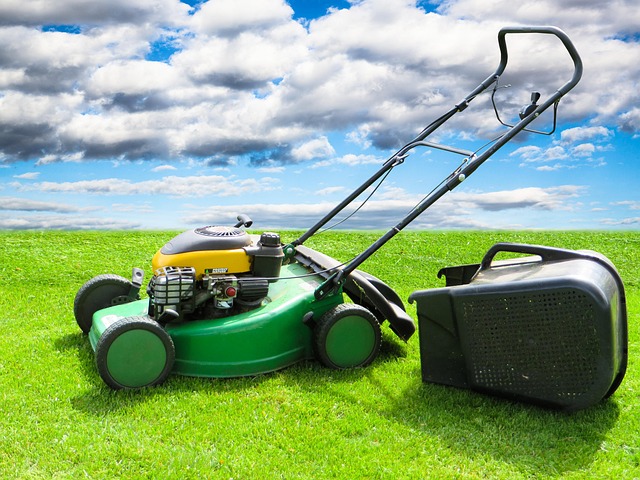 Mastering Lawn Care and Landscaping: Expert Mowing Services