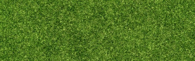 Lawn Care