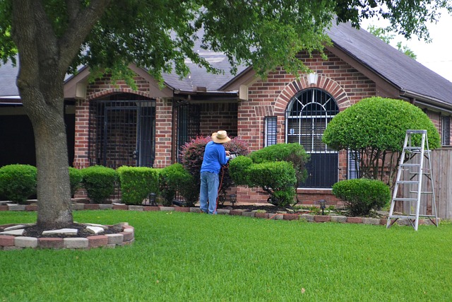 Lawn Care