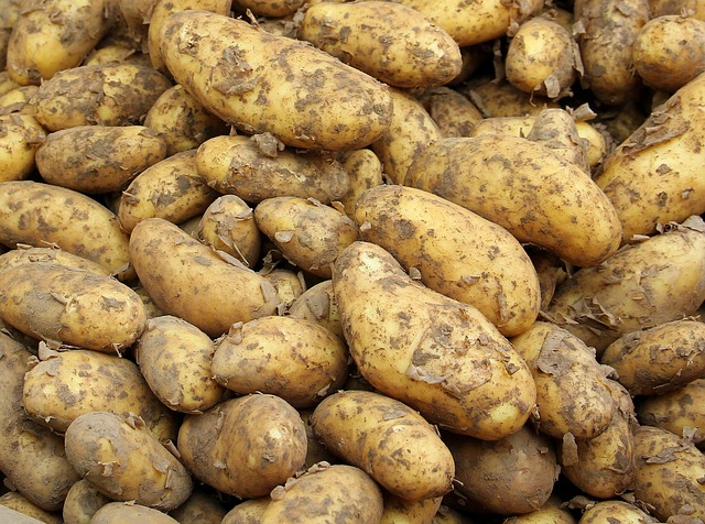 local-food-640x480-32125174.jpeg