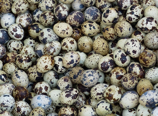 local-food-640x480-90801896.jpeg