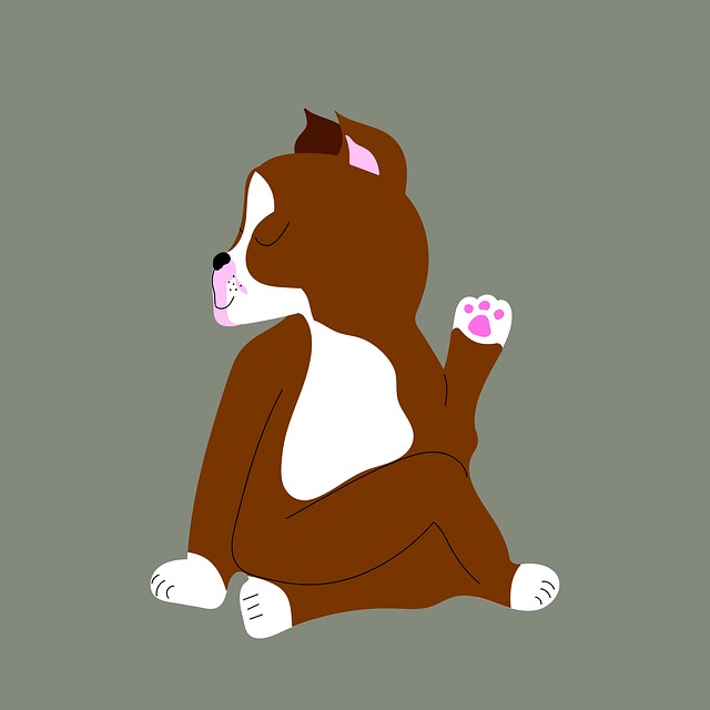 pet-sitting-640x480-18759442.jpeg