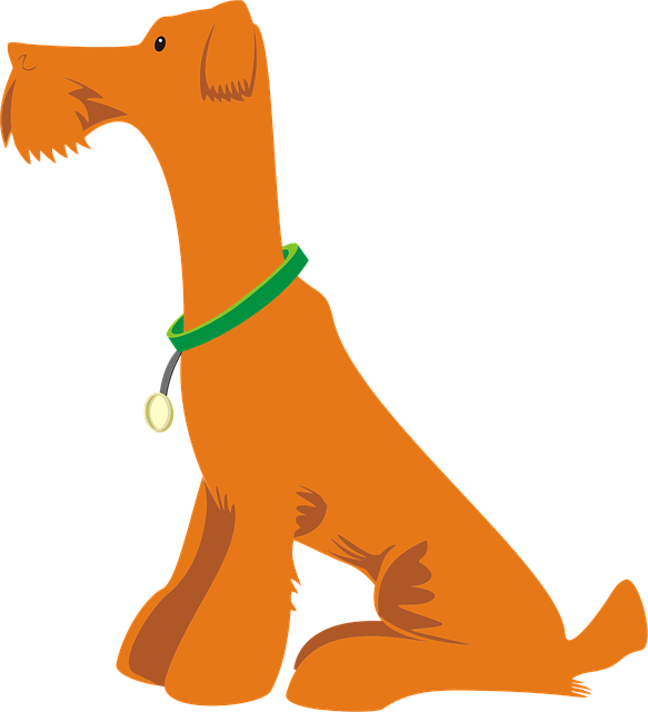 pet-sitting-640x480-39836608.png