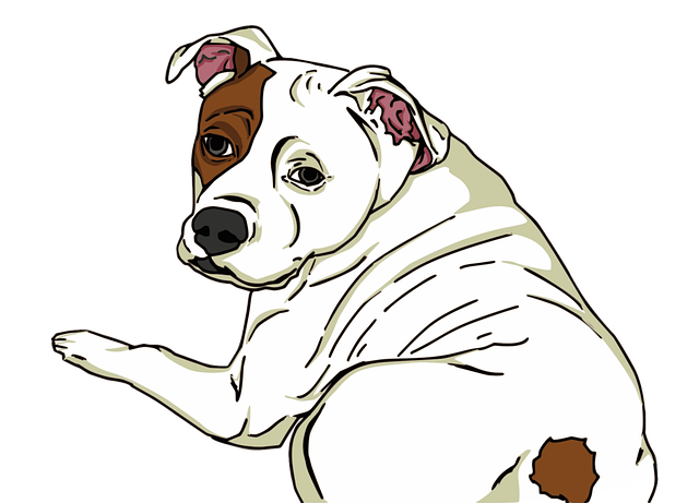 pet-sitting-640x480-57826941.png