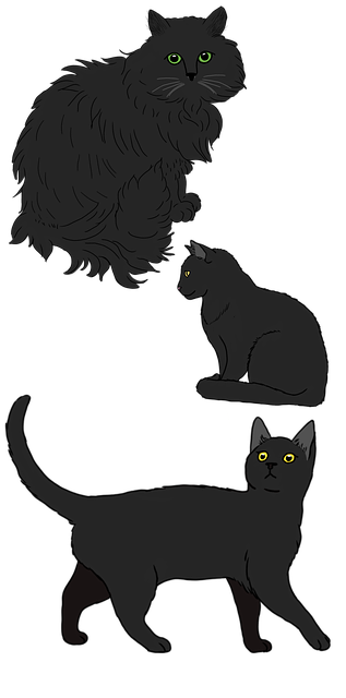 pet-sitting-640x480-82824939.png