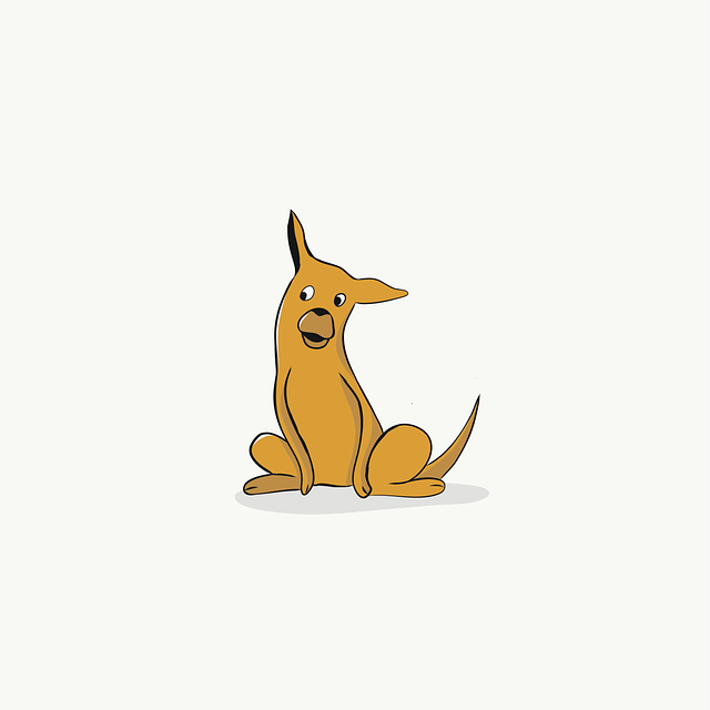 Pet Sitting