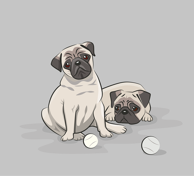 pet-sitting-640x480-97070625.png