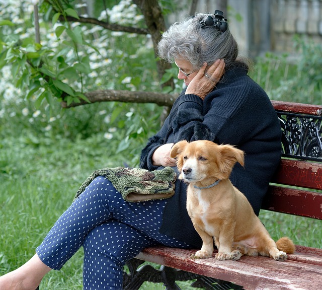 pet-sitting-640x480-99309443.jpeg